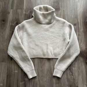 Aritzia Babaton 100% Merino Wool Turtleneck Chunky Knit Beige XS oversized fit